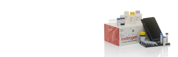 Lab Chemicals | Thermo Fisher Scientific - US Lab Chemicals | Thermo Fisher Scientific - US