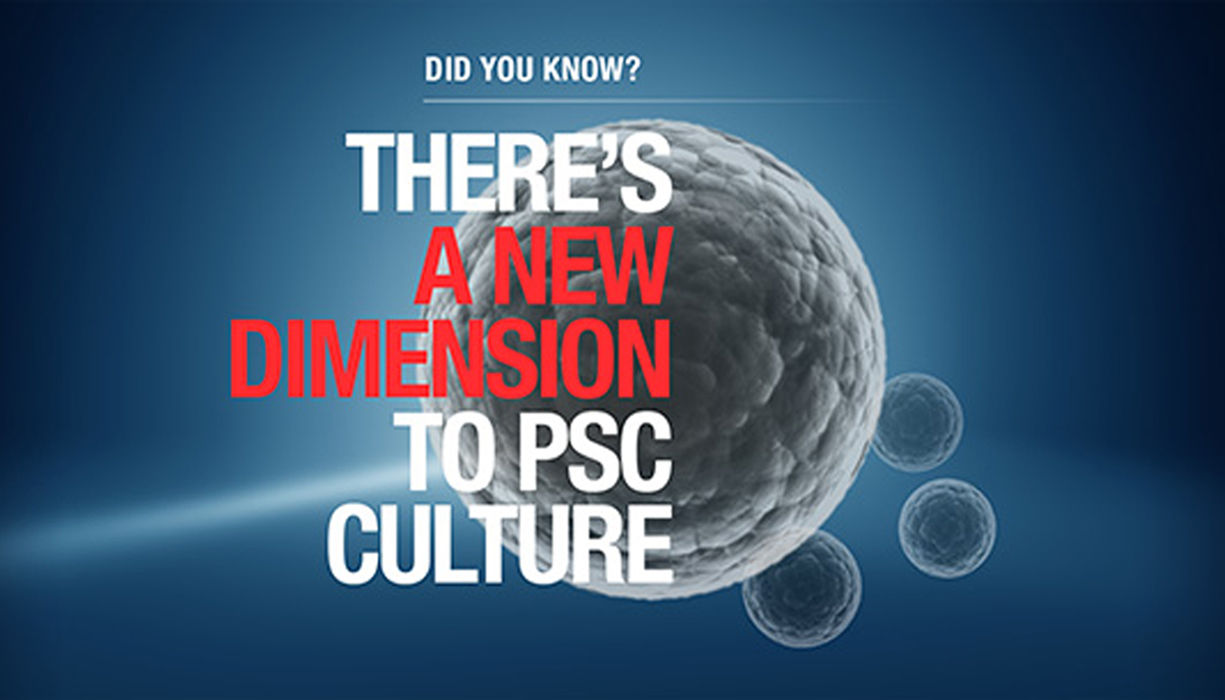 There's A New Dimension to PSC Culture 